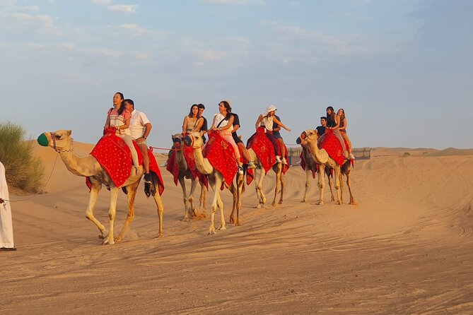Dubai Premium Red Dunes Safari Camel Ride and BBQ Dinner - Sandboarding without another charge