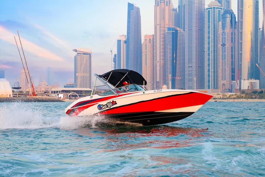 Dubai: Private Boat Tour - JBR/Burj Al Arab/Atlantis options - The Palm Jumeirah and Its Spreading Fronds