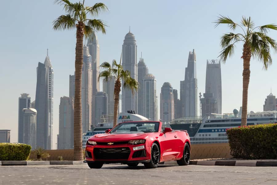 Dubai: Private City Sights Tour in a Cabriolet Convertible - Comfort, weather, and the practical side