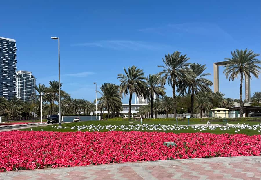 Dubai: Private City Tour with Burj Khalifa Levels 124/125 - A six-hour introduction to Dubai’s two personalities