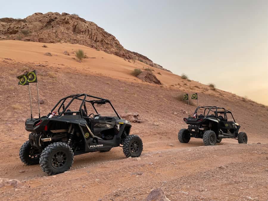 Dubai: Private Desert Buggy Tour, Camel Ride & Sandboarding - The real attraction: red dunes under your own control