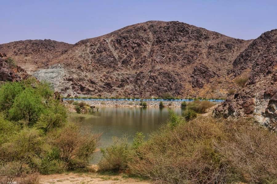 Dubai: Private Desert Day Tour and Wadi Shawka Pool Visit - The rough beauty of Wadi Shawka