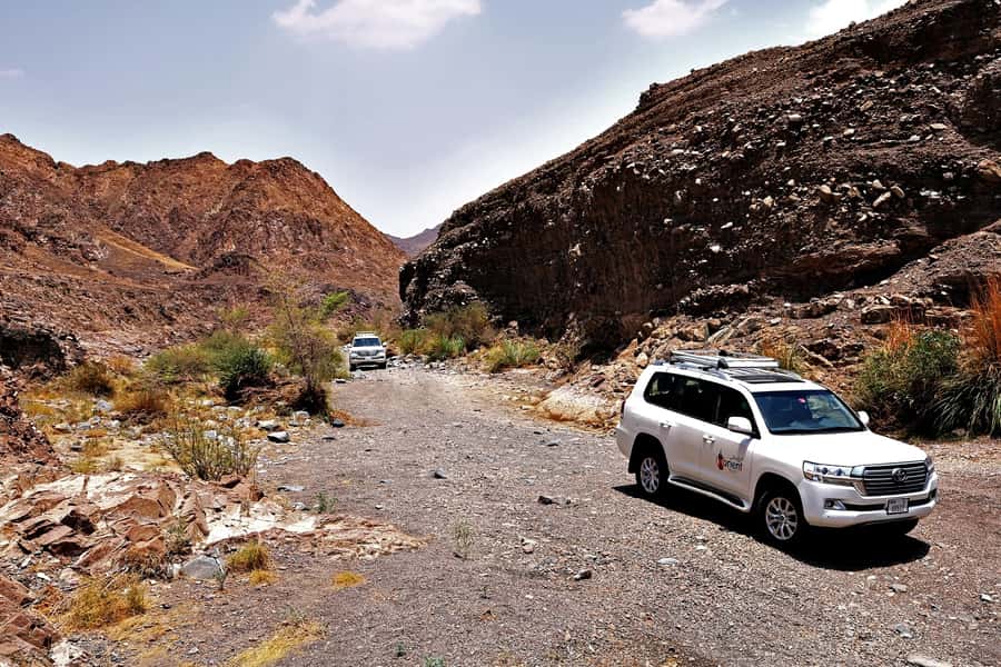 Dubai: Private Desert Day Tour and Wadi Shawka Pool Visit - Booking details worth checking first