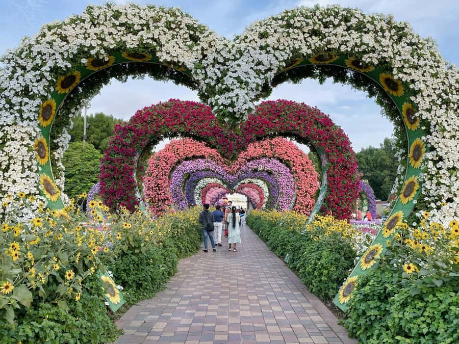 Dubai: Private Dubai Flora and Fauna Trip - The five-minute transfer to Miracle Garden