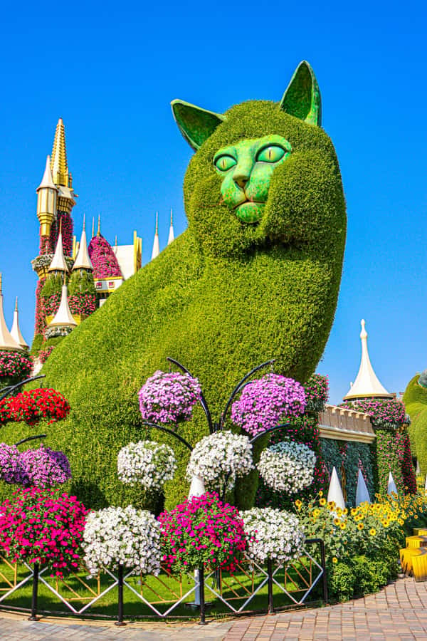 Dubai: Private Dubai Flora and Fauna Trip - How much time you really get