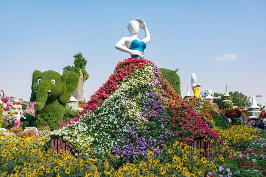 Dubai: Private Dubai Flora and Fauna Trip - Practical advice for a better visit