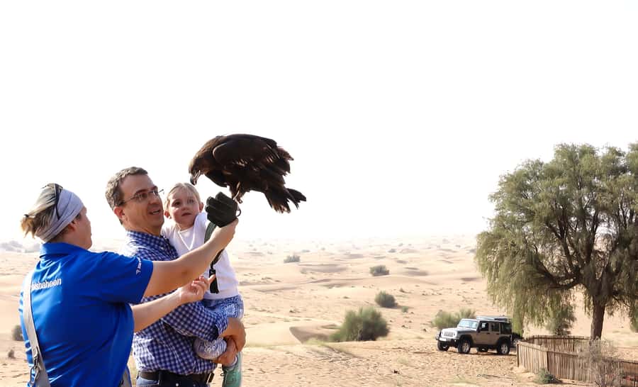 Dubai: Private Falconry Safari - Key Details That Shape the Morning