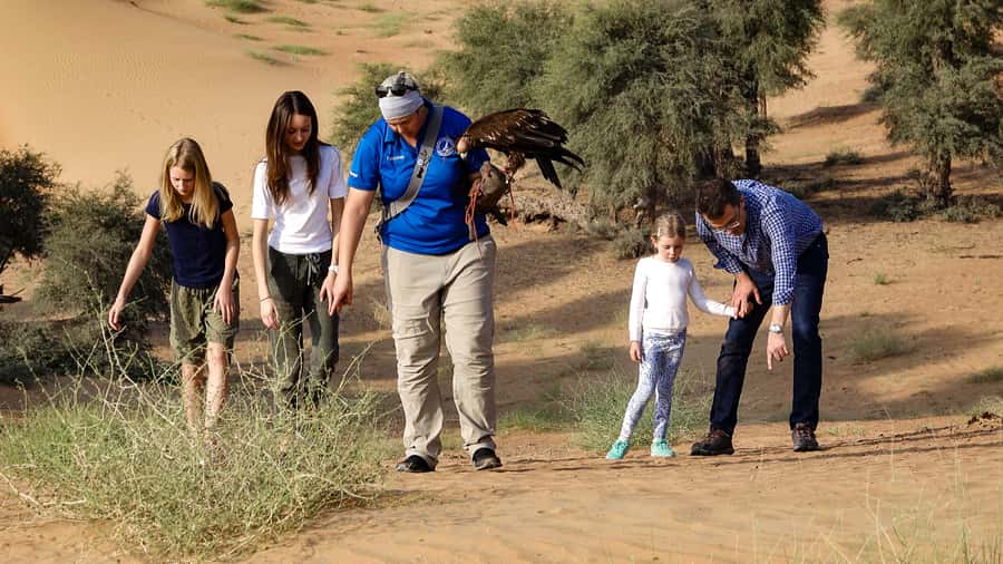 Dubai: Private Falconry Safari - Leaving Dubai by Luxury 4WD