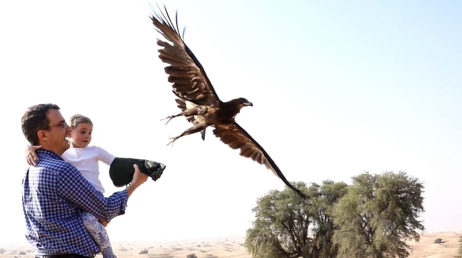 Dubai: Private Falconry Safari - Looking for Wildlife in the Conservation Reserve