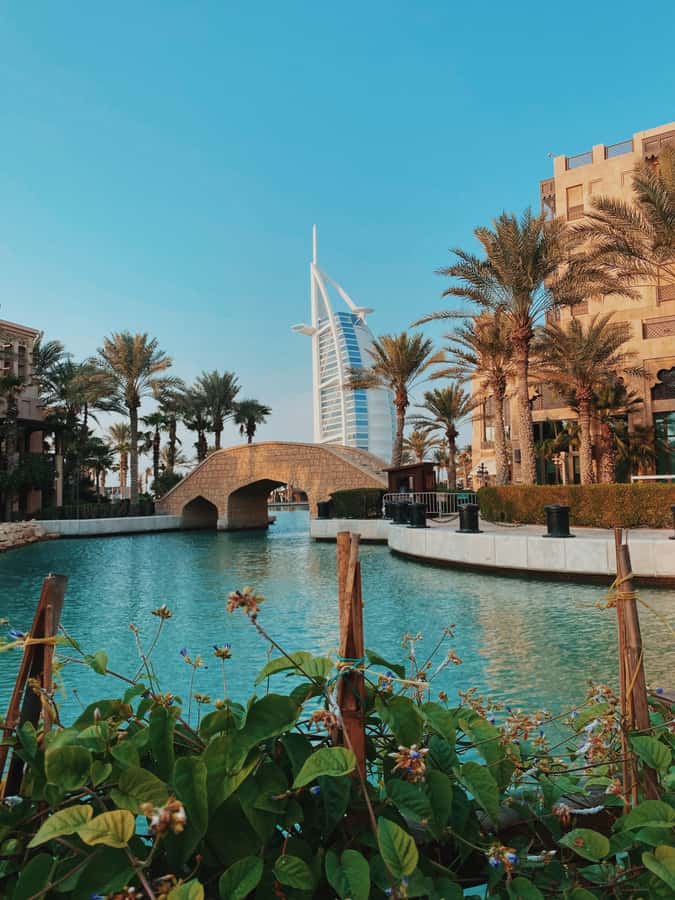 Dubai:Private Frame Entry, Mosque, Souks, Tastings& transfer - Spice Souk and Street Food Tastings