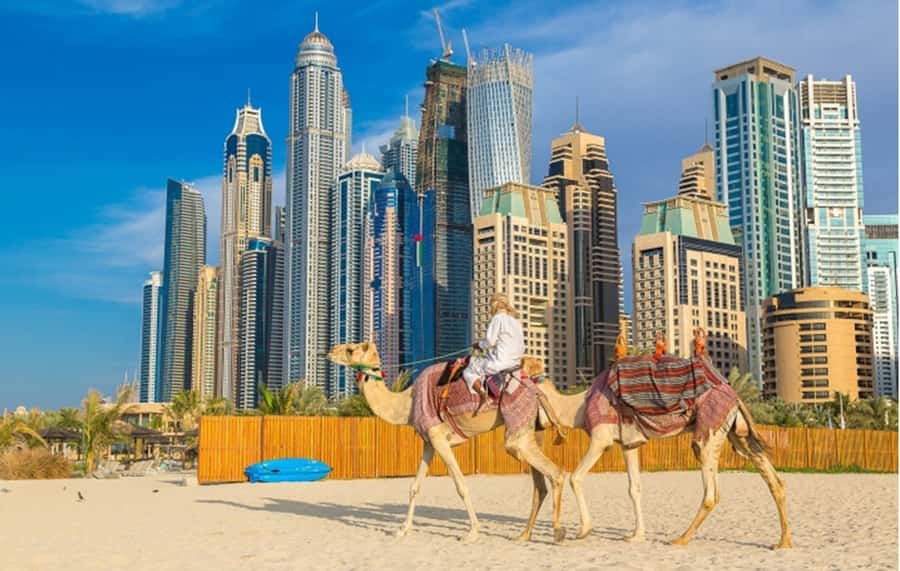 Dubai: Private Half-Day Sightseeing Tour - Jumeirah Mosque, beach views, and Burj Al Arab