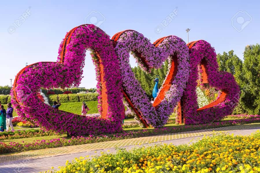 Dubai: Private Miracle Garden & Global Village Trip - Key points at a glance