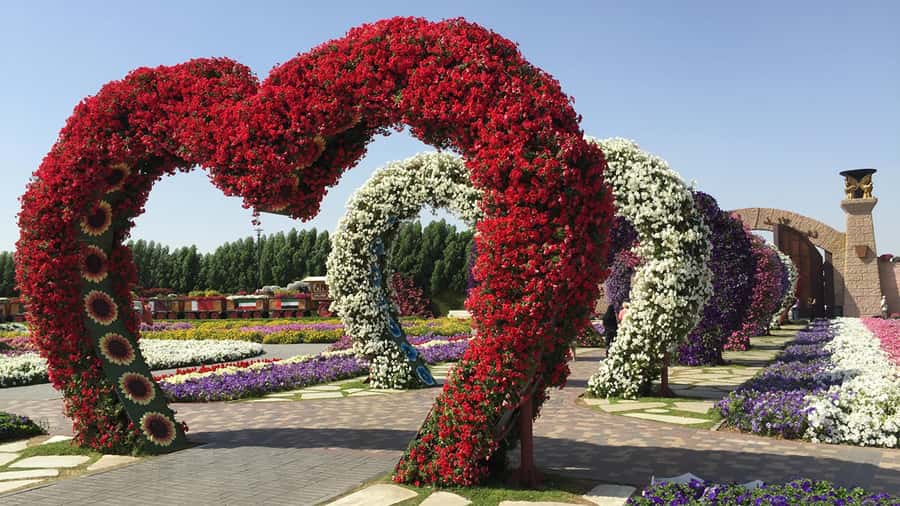 Dubai: Private Miracle Garden & Global Village Trip - What this private Dubai trip actually feels like