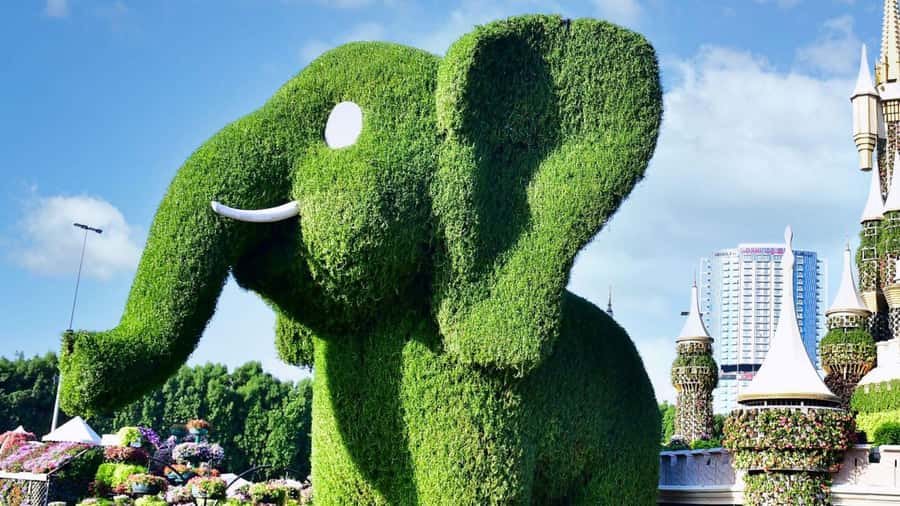 Dubai: Private Miracle Garden & Global Village Trip - Why the private vehicle is worth considering