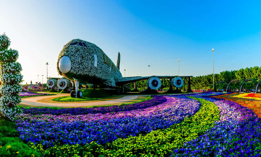 Dubai: Private Miracle Garden & Global Village Trip - Timing, seasons, and useful preparation