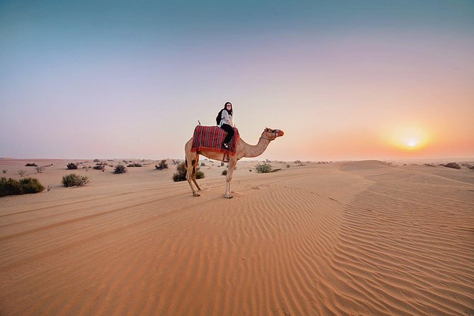 Dubai Private Morning Desert Safari: Camel Ride & Sandboarding - Starting from your Dubai hotel in a private SUV