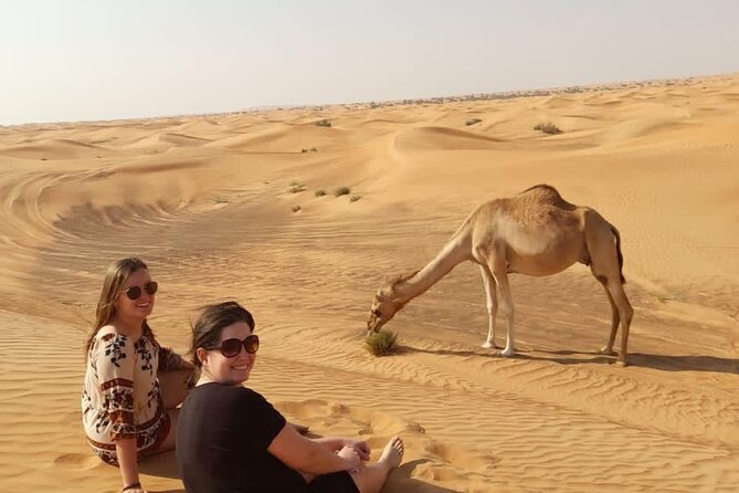 Dubai Private Morning Desert Safari: Camel Ride & Sandboarding - A short camel ride with a slower pace