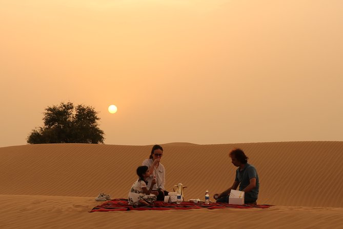 Dubai Private Sunset Desert Drive with Wildlife Experience - A 3 p.m. pickup from central Dubai