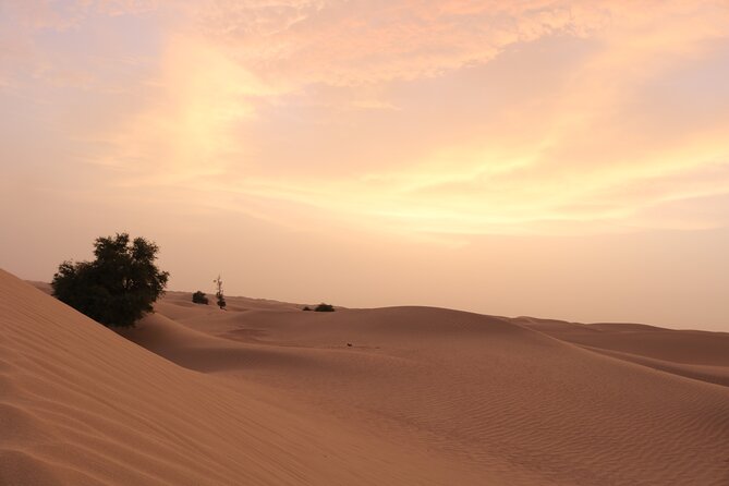 Dubai Private Sunset Desert Drive with Wildlife Experience - The uphill return is the real challenge