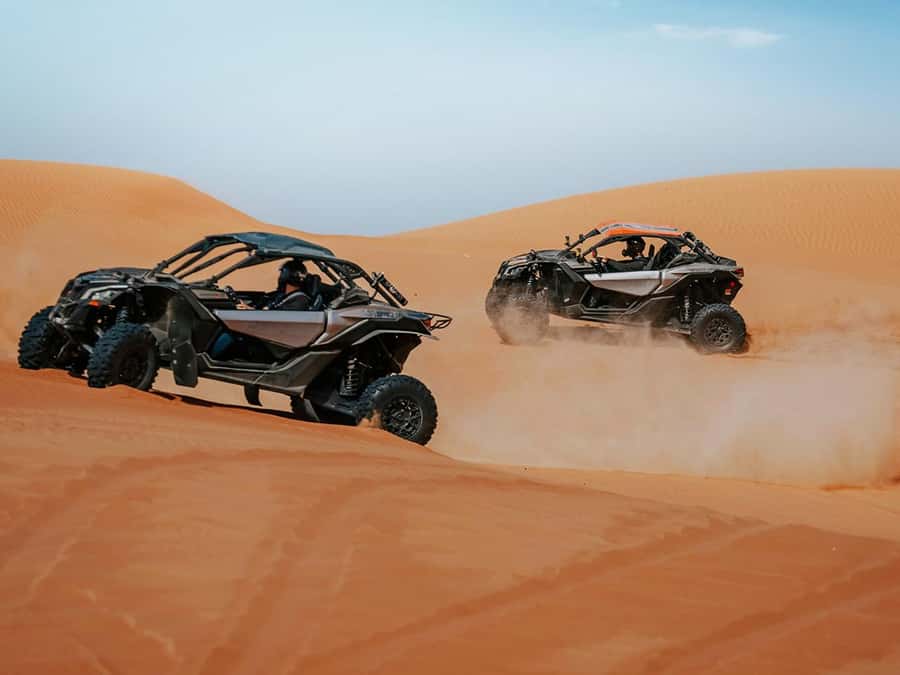 Dubai: Quad Bike or Dune Buggy Adventure & Optional Transfer - What this desert outing actually offers