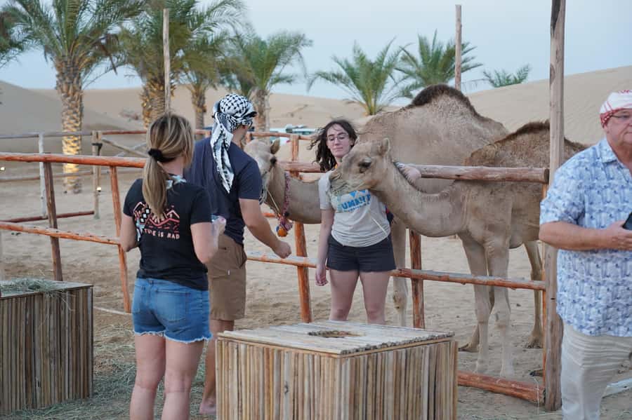 Dubai: Red Dune Desert Safari, Quad Bike, Camels, and BBQ - The guides are the real strength