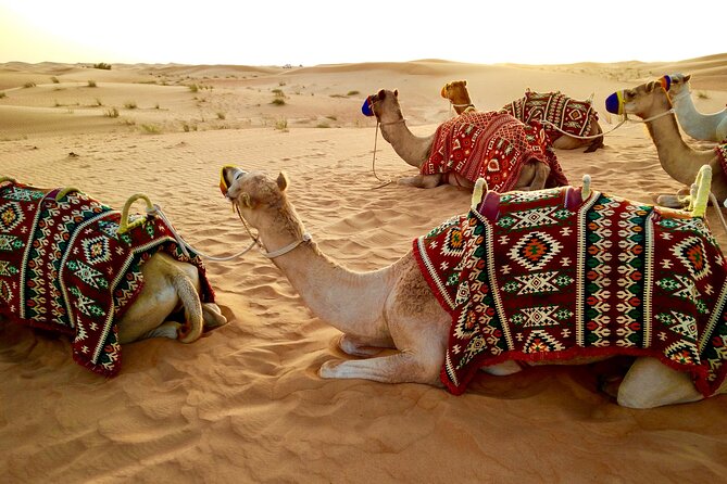 Dubai Red dune Desert Safari With Dune Bashing, Camel Ride & BBQ - Red dune dune bashing is the main event