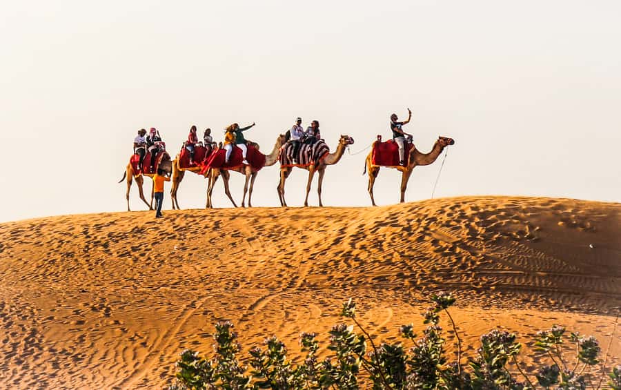 Dubai: Red Dune Safari, Quad Bike, Camel Ride, BBQ Dinner - Pickup from Dubai to the Lahbab Desert