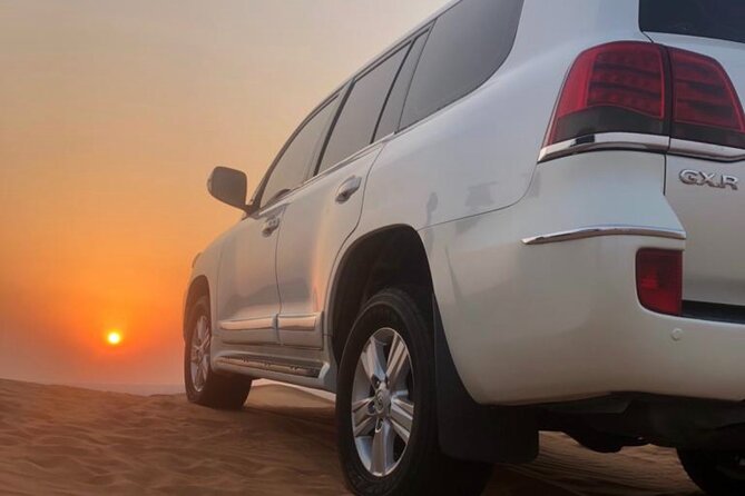 Dubai Red Dunes Afternoon Desert Safari with Camel Ride - Key Points Before You Book