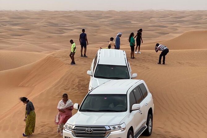 Dubai Red Dunes Afternoon Desert Safari with Camel Ride - Camel Ride and Falconry: Slower Desert Traditions
