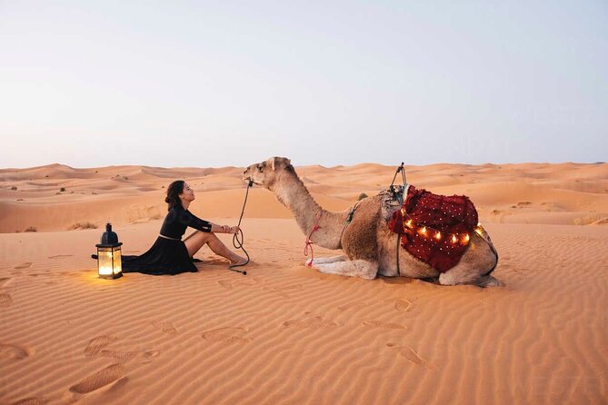 Dubai: Red Dunes Desert Safari, Camel ride, Sandboard, Quad Bike - The Red-Dune Safari in Five Useful Points