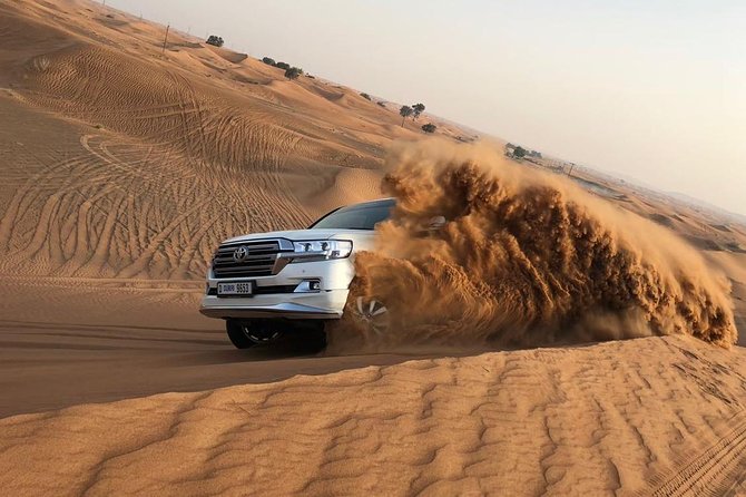 Dubai Red Dunes Desert Safari : Sandboarding, BBQ & Live Shows - Key points to know before booking