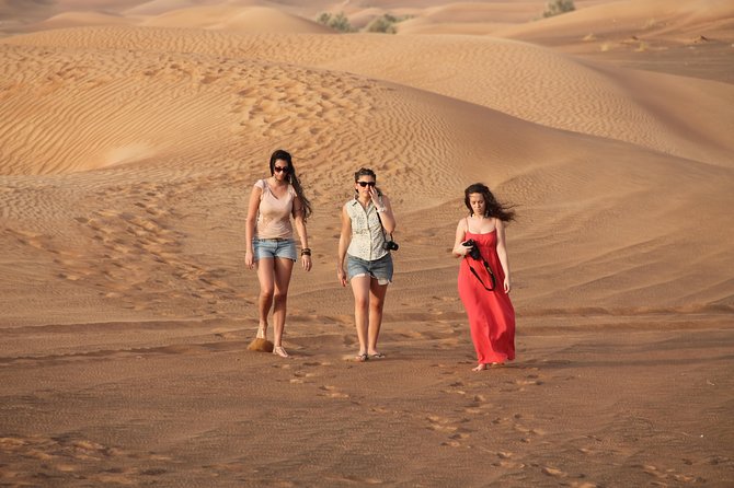 Dubai Red Dunes Desert Safari : Sandboarding, BBQ & Live Shows - Dance performances and the light and sound show