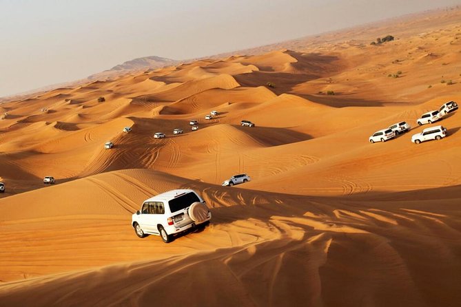 Dubai Red Dunes Desert Safari : Sandboarding, BBQ & Live Shows - Sandboarding and the short camel ride