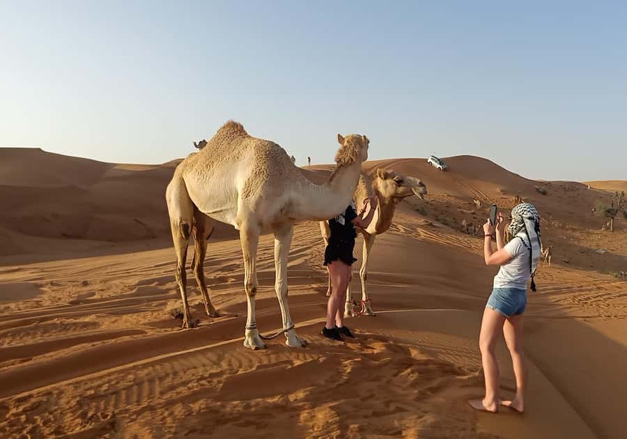 Dubai: Red Dunes Desert Safari with Premium Camp BBQ & Shows - Key points at a glance