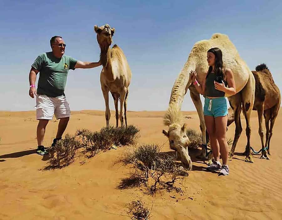 Dubai: Red Dunes Desert Safari with Premium Camp BBQ & Shows - BBQ dinner and the value of $49