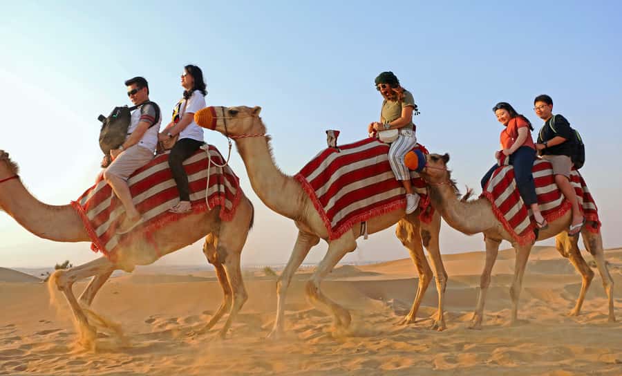 Dubai: Red Dunes Quad Bike with Sandboarding, Camels and BBQ - What the $65 price really covers