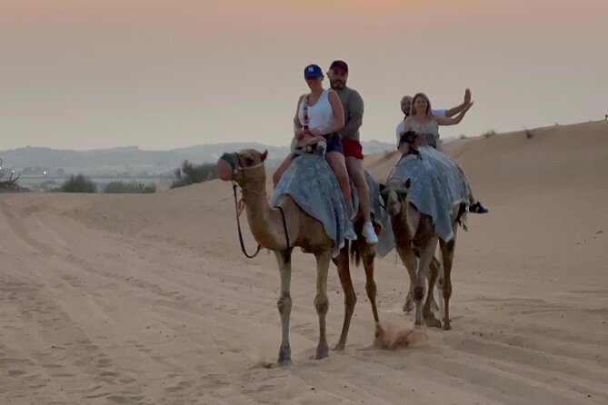 Dubai Red Dunes Safari, Camel Ride & Live BBQ - Who should book this safari