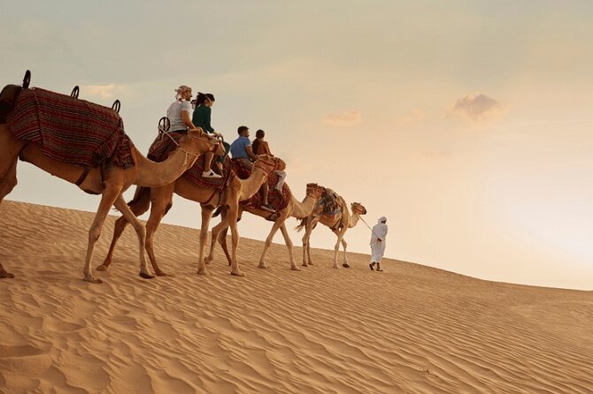 Dubai Red Dunes Safari, Camel Ride & Live BBQ - The red-dune drive: the main event