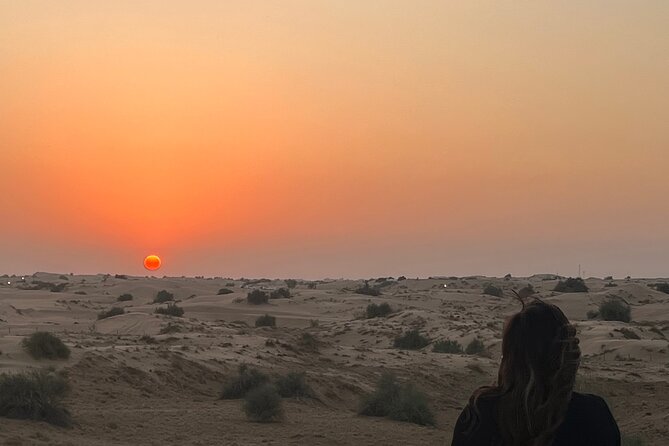 Dubai Red Dunes Safari, Camels, Live BBQ and Live Shows - Dune bashing across the red sand