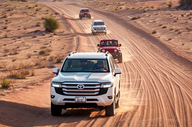 Dubai Red Dunes Safari: Dune Bashing, Camel Ride & Breakfast - The Dubai Desert Conservation Reserve