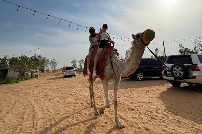Dubai: Red Dunes, Sandsurf, Camel Ride, BBQ Dinner at Desert Camp - BBQ dinner and the international buffet