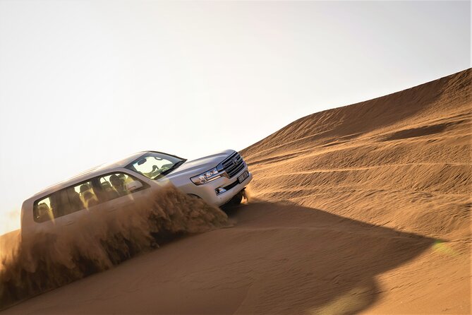 Dubai Red Dunes with Sandboarding, Camel Ride, Falcon & VIP Camp - Quick take: what makes this safari worth considering