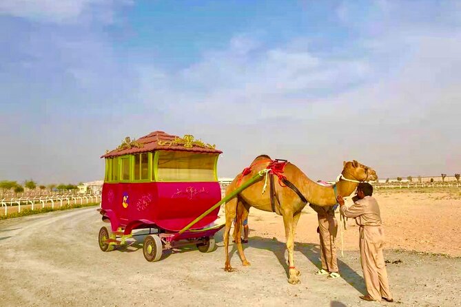 Dubai Royal Camel Race with Prime Seats & Short Camel Ride - Camel milk, ice cream, and the food question