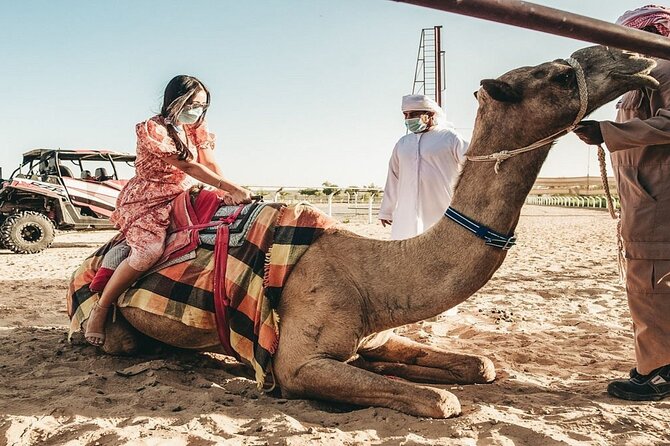 Dubai Royal Camel Race with Prime Seats & Short Camel Ride - Is $26 good value for Dubai?