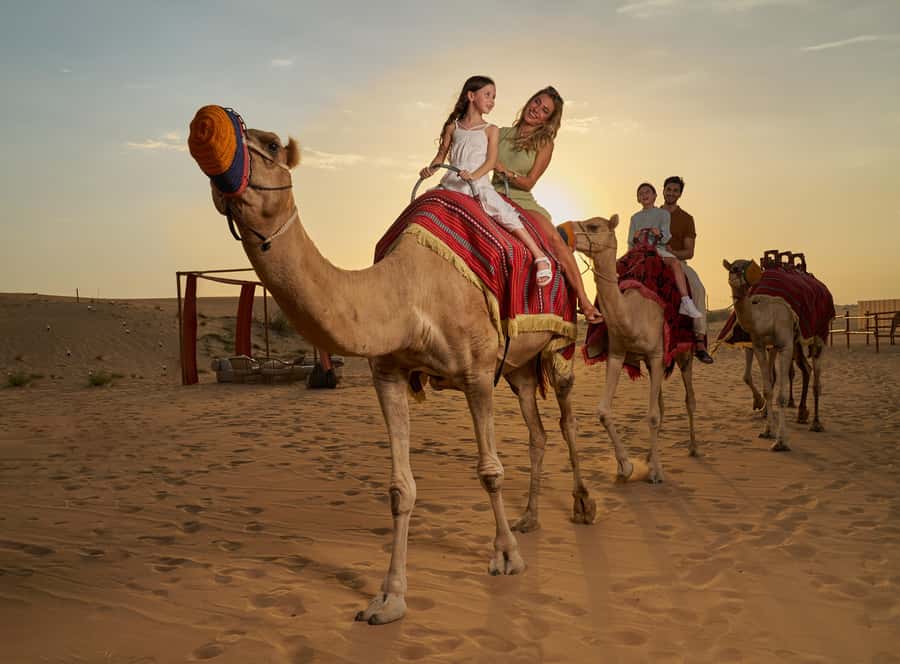 Dubai’s Best Desert Safari: Live Show & Gourmet BBQ Dinner - What makes this safari worth considering