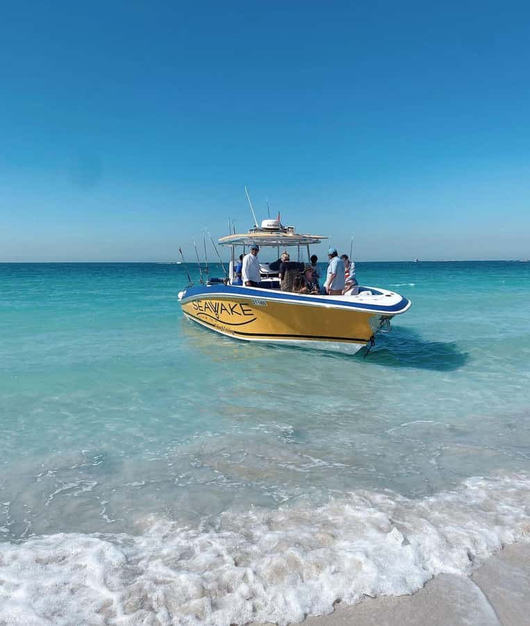 Dubai's BEST Fishing Charter – No Fish, No Pay! - Price, cancellation, and timing