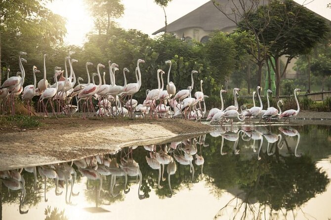 Dubai Safari Park - What the $44 ticket really gives you