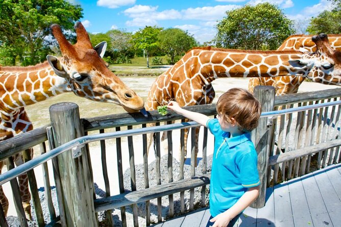 Dubai Safari Park - Asian Village and African Village
