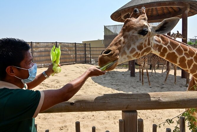 Dubai Safari Park - Kids Farm for younger children