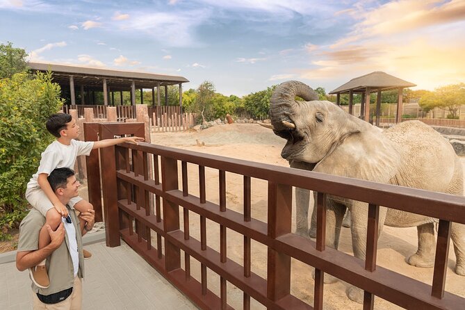 Dubai Safari Park - How to plan a 10 a.m. visit